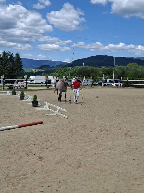 e7ccb6af-082c-4a74-a25e-b0eb7f18a00b